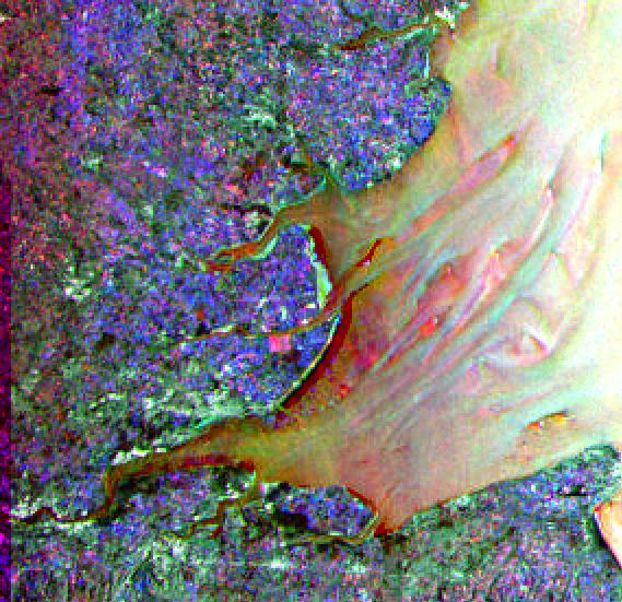 [Thames Estuary - Image]