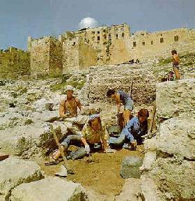 [Image - Archaeologists]