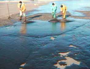 [Image - Cleaning the Beaches]