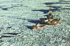 [Image - Polar Ice]