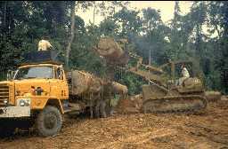 [Image - Logging]