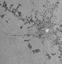 [Image - forest from space]