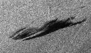 [SAR image showing oil smoothing rough water]