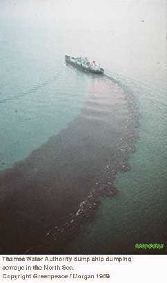 [Image - Ship discharging]