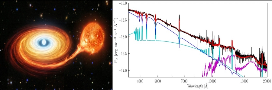 Figure caption: Left: schematics of an accreting white dwarf. The donor star is losing matter that, while falling onto the white dwarf, forms a disc around it. Right: X–shooter data (black, from Pala et al. 2019) of an accreting white dwarf, along with the best–fit model (red), which is composed of the sum of a white dwarf (blue), an accretion disc (cyan) and a late–type star (magenta). Figure caption: Left: schematics of an accreting white dwarf. The donor star is losing matter that, while falling onto the white dwarf, forms a disc around it. Right: X–shooter data (black, from Pala et al. 2019) of an accreting white dwarf, along with the best–fit model (red), which is composed of the sum of a white dwarf (blue), an accretion disc (cyan) and a late–type star (magenta).