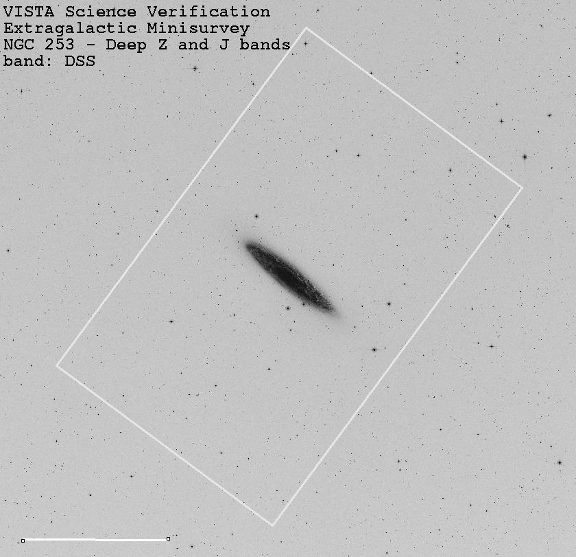VISTA SV: Extragalactic mini-survey NGC 253