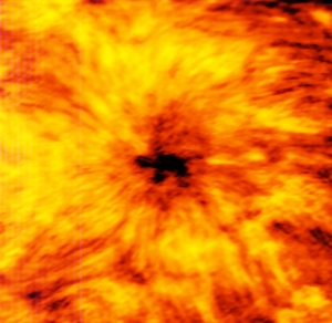 ALMA image of an enormous sunspot was taken at a wavelength of 1.25 millimetres in December 2015.