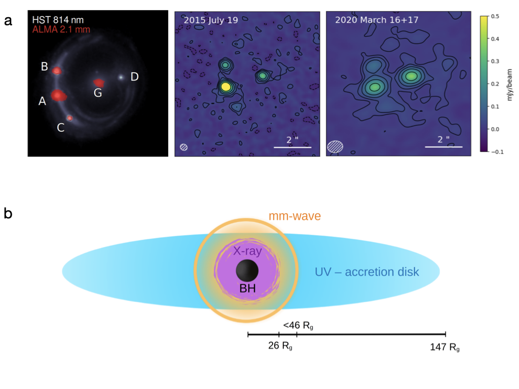 Figure from the paper