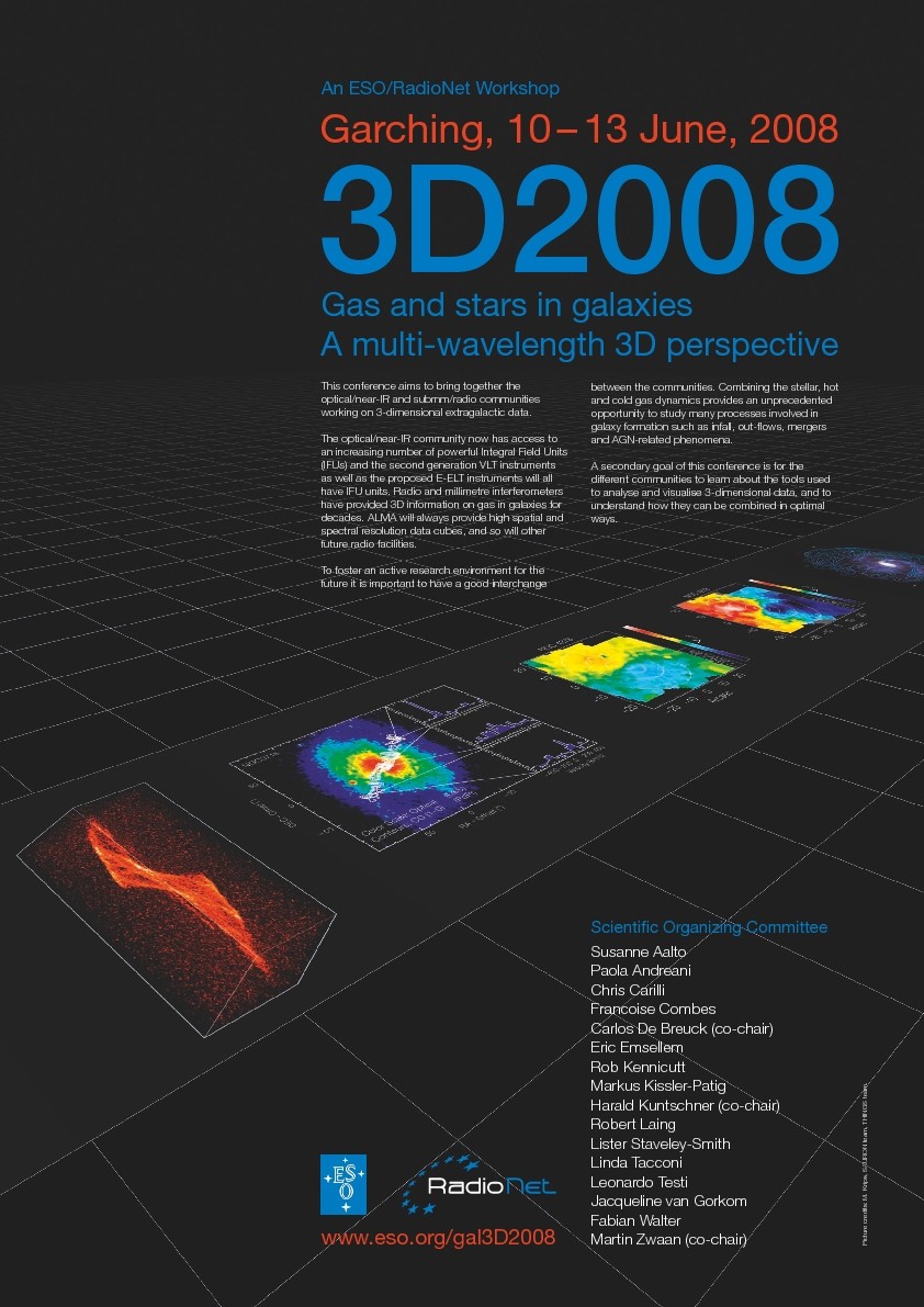 Poster3D2008